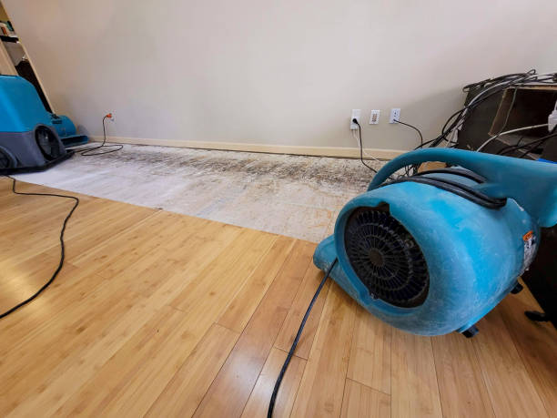 Professional Structural Drying technician working in Harvard, NE
